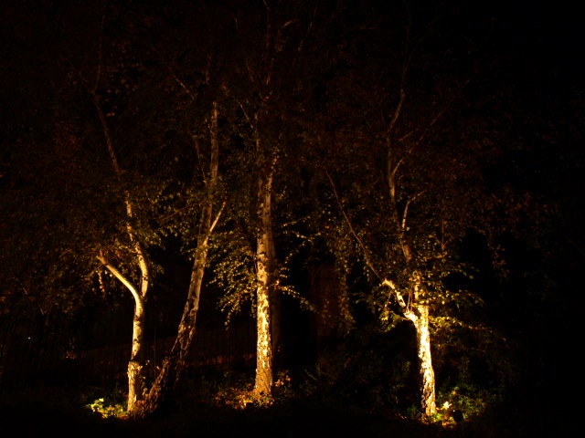 Newbury Park Outdoor Lighting